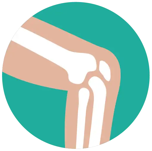 Knee Icon