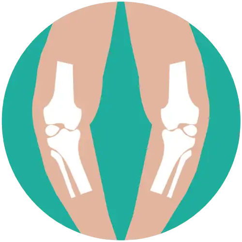 Reconstructive Orthopedic Icon